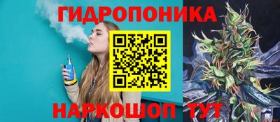 спиды Аргун