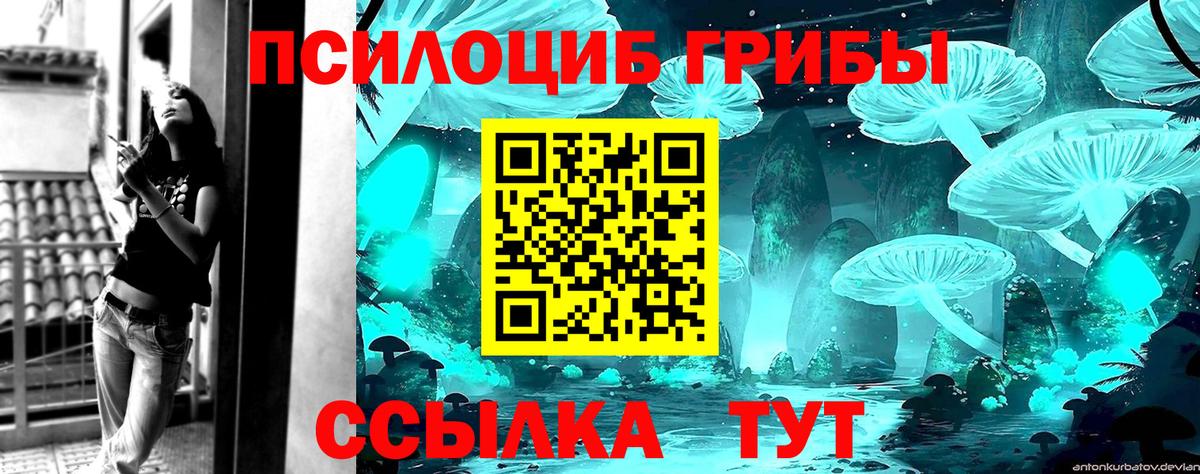 Псилоцибиновые грибы Psilocybine cubensis Белгород