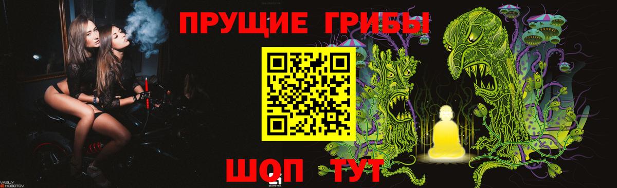 Псилоцибиновые грибы GOLDEN TEACHER Белгород